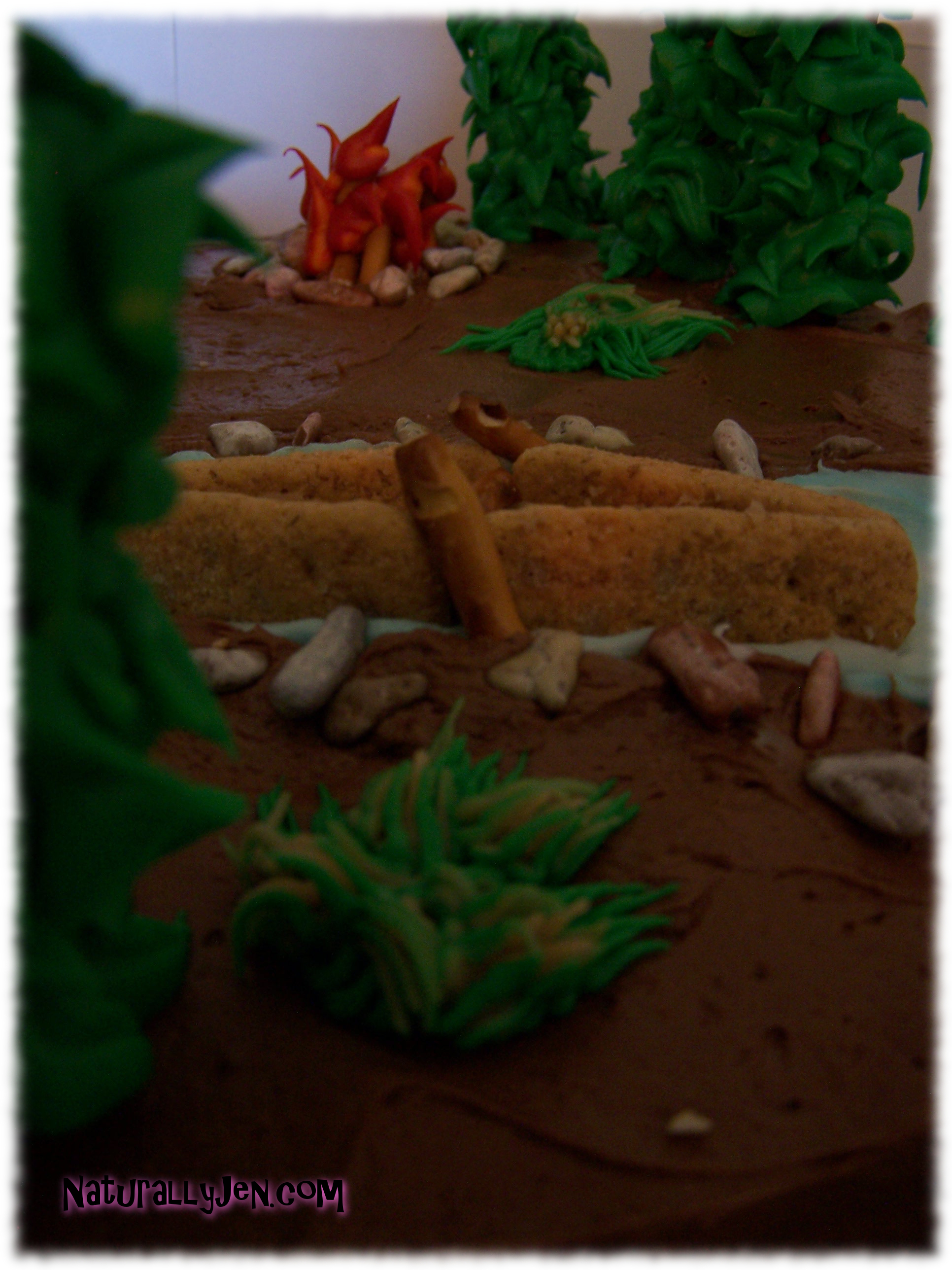 Themed Birthday Cakes with edible Canoe, Edible Fire and Edible Trees