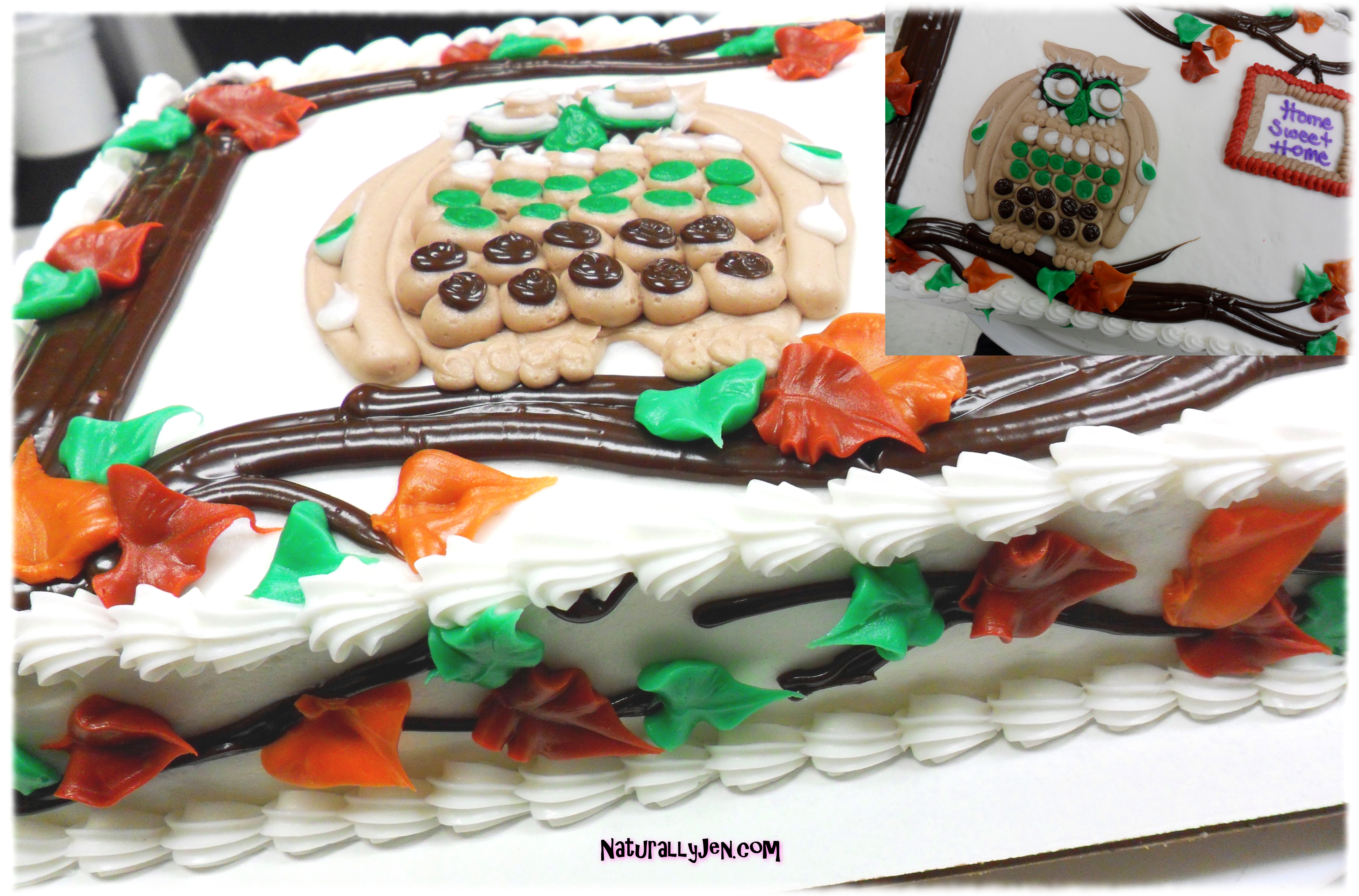 Owl Cake Decorated with Cake Sides Decorated