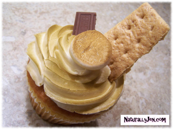 Hand Decorated Smores Cupcake Ideas